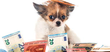 選ぶポイント画像