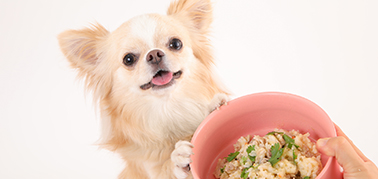 選ぶポイント画像