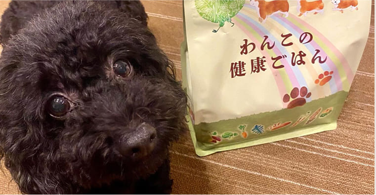 ユーザーボイス