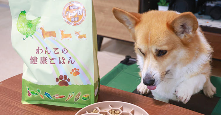 ユーザーボイス