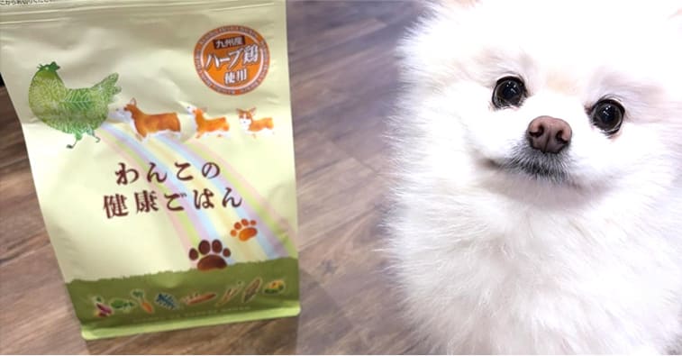 ユーザーボイス